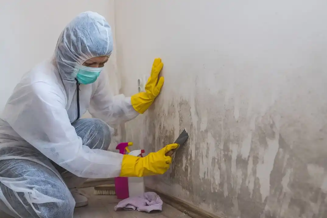 water damage restoration service Bayfront